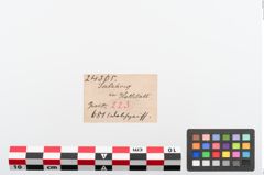 Etiketten zu Eisenantennendolch (NHMW-PRAE-024365)